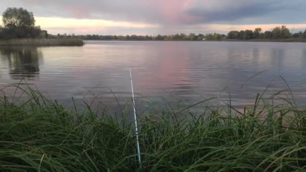 Pêche Sur Rivière Pêcheur Avec Une Canne Pêche Attrape Roue — Video