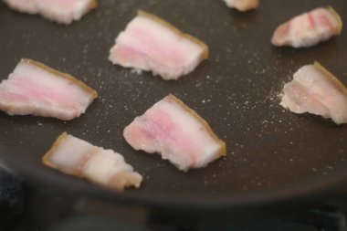 Kızarmış domuz. Kızartma tavasında domuz yağı. Pastırmayı kızartma tavasında kızarttım. Kızarmış pastırma. Katmanlı domuz yağı. Tavada kızarmış domuz yağı..