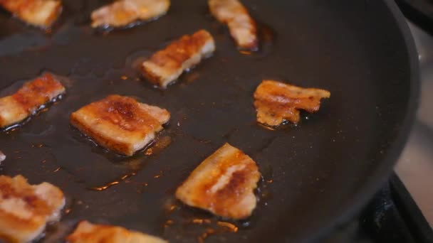 Fried Bacon Lard Frying Pan Fried Bacon Frying Pan Fried — Stock Video