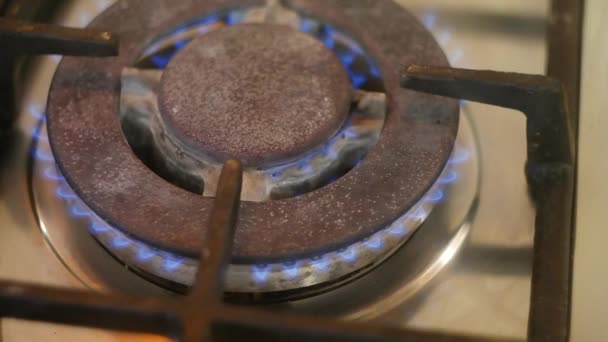 Κουζίνα Γκαζιού Μπλε Φωτιά Εγκαύματα Αερίου Εστίες Αερίου Ανοίξτε Πυρ — Αρχείο Βίντεο