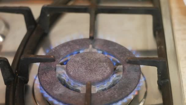 Κουζίνα Γκαζιού Μπλε Φωτιά Εγκαύματα Αερίου Εστίες Αερίου Ανοίξτε Πυρ — Αρχείο Βίντεο