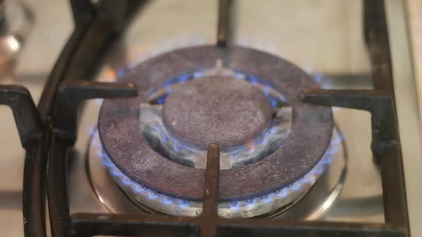 Estufa Gas Fuego Azul Quemaduras Gas Encimera Gas Abre Fuego — Vídeos de Stock
