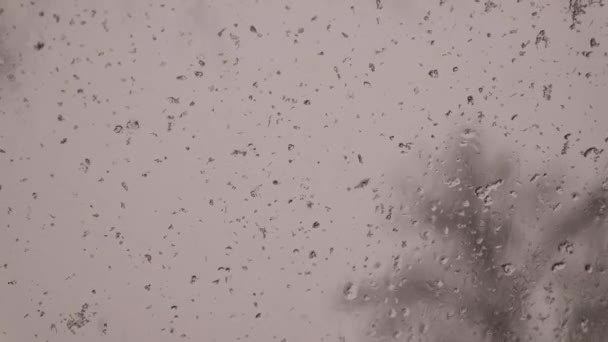 雪融化在玻璃上 汽车玻璃上的雪花 玻璃后面的雨滴 在湿雪中的窗户 坏天气 下雪了抽象的背景 雪与雨 — 图库视频影像