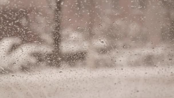 Nieve Derrite Sobre Vidrio Copos Nieve Vaso Coche Gotas Lluvia — Vídeos de Stock