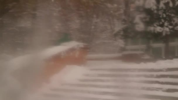 Remoção Neve Pessoas Limpam Neve Neve Nos Degraus Homem Mulher — Vídeo de Stock