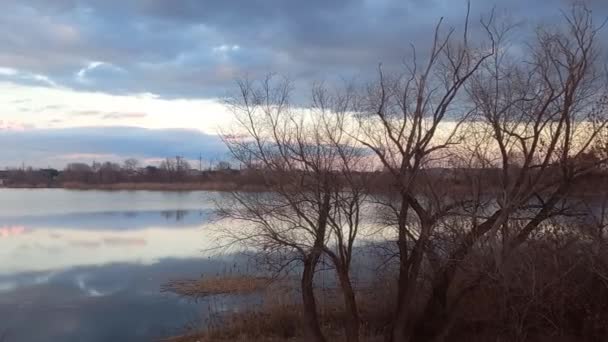 Suyu Olan Güzel Bir Manzara Sudaki Gökyüzü Yansıması Nehirde Akşam — Stok video