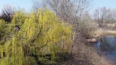 Üst görüş alanı. İnsansız hava aracı manzarası. Ukrayna. Yukarıdan manzara çok güzel. Yukardan sade. Ukrayna toprakları. Ukrayna 'nın manzaraları.