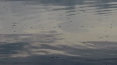 Suyun üzerinde parlama ve yansımalar. Gökyüzü suya yansıyor. Dalgaların, yansımaların, kırılmaların ve mavi, temiz ve kristal sudaki soyut kırıkların arkaplanı. Ağaçlar suya yansır..