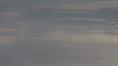 Suyun üzerinde parlama ve yansımalar. Gökyüzü suya yansıyor. Dalgaların, yansımaların, kırılmaların ve mavi, temiz ve kristal sudaki soyut kırıkların arkaplanı. Ağaçlar suya yansır..