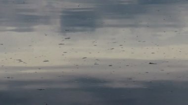 Suyun üzerinde parlama ve yansımalar. Gökyüzü suya yansıyor. Dalgaların, yansımaların, kırılmaların ve mavi, temiz ve kristal sudaki soyut kırıkların arkaplanı. Ağaçlar suya yansır..