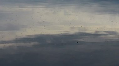 Suyun üzerinde parlama ve yansımalar. Gökyüzü suya yansıyor. Dalgaların, yansımaların, kırılmaların ve mavi, temiz ve kristal sudaki soyut kırıkların arkaplanı. Ağaçlar suya yansır..