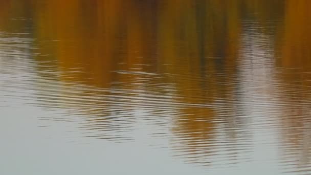 Bländning Och Reflektioner Vattnet Himlen Reflekteras Vattnet Bakgrund Vågor Reflektioner — Stockvideo