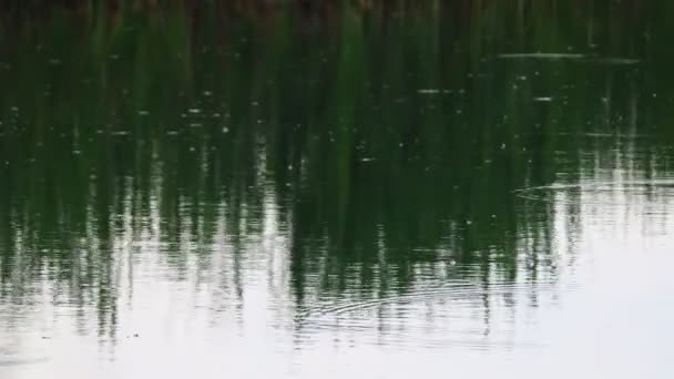 Brilho Reflexões Sobre Água Céu Refletido Água Antecedentes Ondas Reflexões — Vídeo de Stock