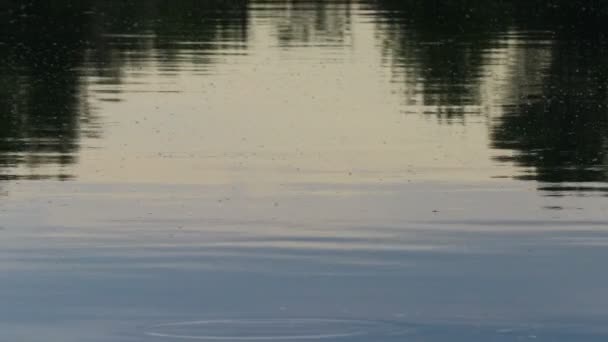 Blendung Und Reflexionen Auf Dem Wasser Spiegelt Sich Der Himmel — Stockvideo