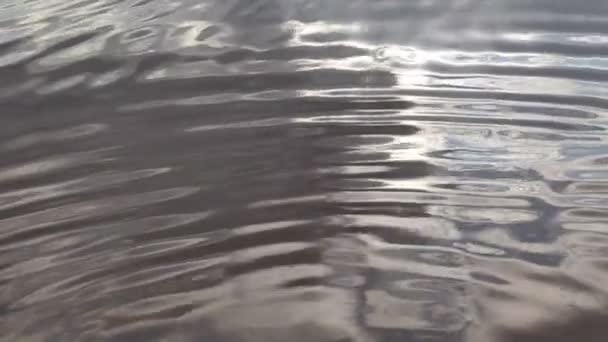グレアと水面への反射 空は水の中に映し出されます クリーンで結晶性の水の中の波 屈折および抽象的な回折の背景 木は水の中に反射し — ストック動画