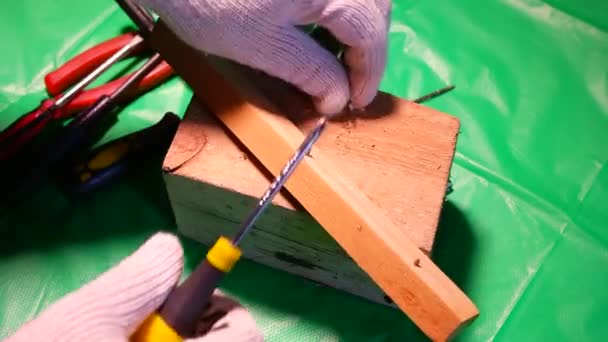 Torsion Avec Tournevis Outils Travail Tournevis Vis Travailler Dans Atelier — Video