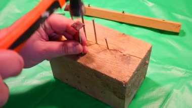 Çekiç çivisi. Çekiç ve çivi kullanarak. Tahtaya çivi çakmaya yakın. Kırmızı flanel gömlek, kot pantolon ve kumaş eldiven giyen bir marangoz tahta tahtaları çiviliyor..