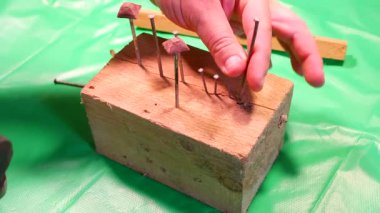 Çekiç çivisi. Çekiç ve çivi kullanarak. Tahtaya çivi çakmaya yakın. Kırmızı flanel gömlek, kot pantolon ve kumaş eldiven giyen bir marangoz tahta tahtaları çiviliyor..