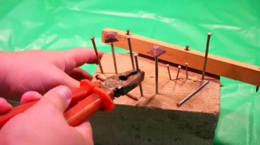 Penseyle çivi söküyorum. Marangoz kerpeteni kurtarma, yardım konsepti teması. İşçi, eğri çiviyi penseyle söküyor. Ahşap işçilerinin elleri kapalı..
