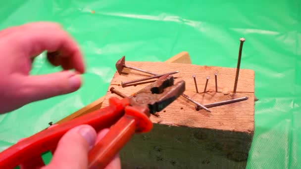 釘をペンチで引っ張る 大工のペンチの救助 援助の概念のテーマで釘を引く 労働者は板の外に曲げられた釘をペンチで引っ張る 木材労働者の手を閉じて — ストック動画