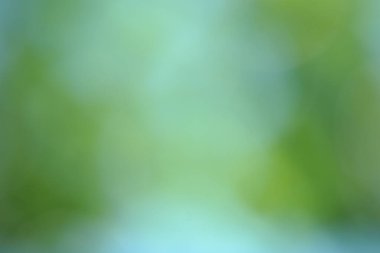 Soyut yeşil arkaplan. Renk eğilimli animasyon. Yumuşak, bulanık arkaplan hareket ediyor. Renkler konuma göre değişir, pürüzsüz renk geçişleri oluşturur. Güneş ışığıyla soyut arkaplan.