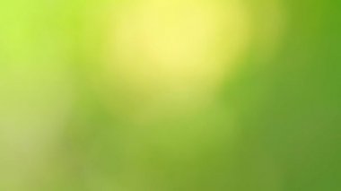 Soyut yeşil arkaplan. Renk eğilimli animasyon. Yumuşak, bulanık arkaplan hareket ediyor. Renkler konuma göre değişir, pürüzsüz renk geçişleri oluşturur. Güneş ışığıyla soyut arkaplan.