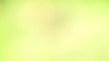 Soyut yeşil arkaplan. Renk eğilimli animasyon. Yumuşak, bulanık arkaplan hareket ediyor. Renkler konuma göre değişir, pürüzsüz renk geçişleri oluşturur. Güneş ışığıyla soyut arkaplan.