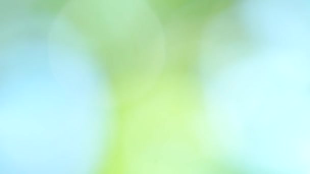 Абстрактний Зелений Фон Кольорова Градієнтна Анімація Рухається Який Розмитий Фон — стокове відео