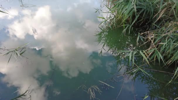 Небо Отражается Воде Отражение Воде Облака Вода — стоковое видео