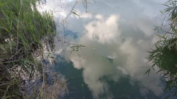 Небо Отражается Воде Отражение Воде Облака Вода — стоковое видео