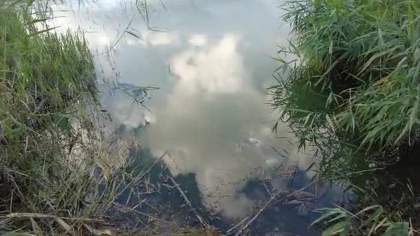 Небо Отражается Воде Отражение Воде Облака Вода — стоковое видео