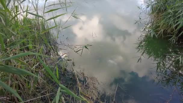 Gökyüzü Suya Yansıyor Sudaki Yansıma Bulutlar — Stok video