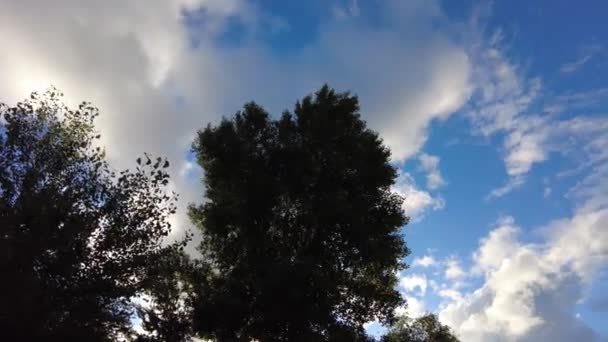 Хмаровий Таймелапсис Таймелапс Кольорові Темні Хмари Заходу Сонця Фрагмент Часу — стокове відео