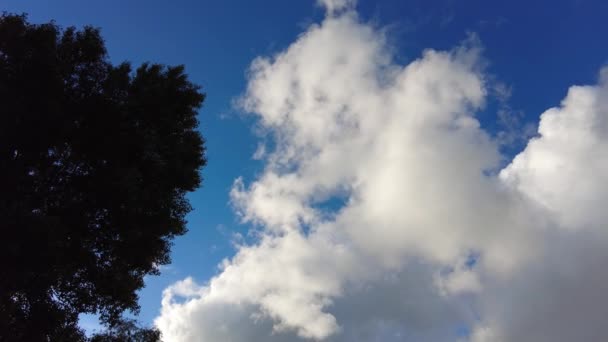 Nube Timelapse Timelapse Nubes Oscuras Coloridas Del Atardecer Timelapse Nature — Vídeo de stock