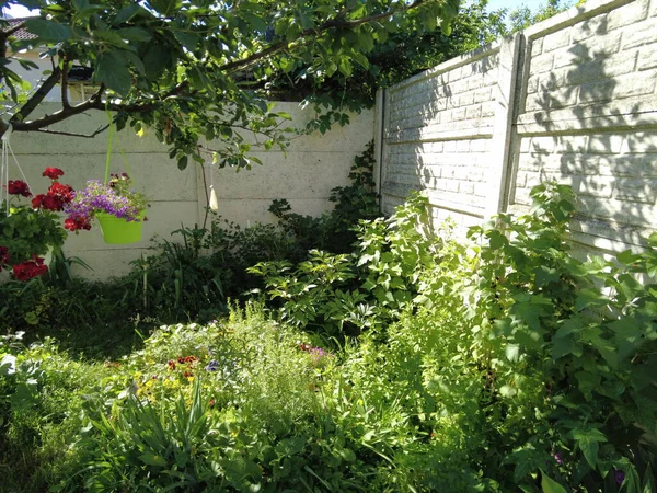 パティオ カントリーハウス 家の庭 芝生と花 リラックスのためのパティオ 夏の庭 — ストック写真