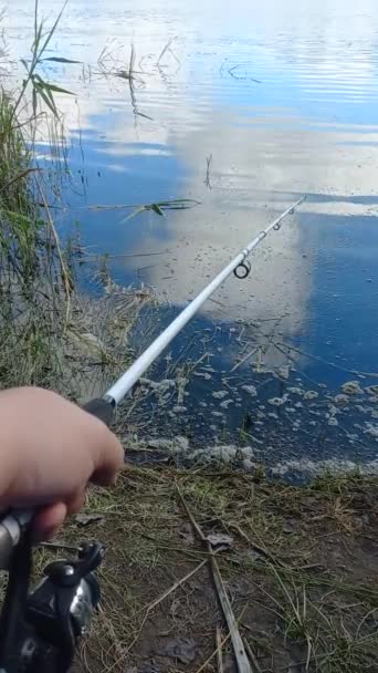 Pescuit Pescar Tijă Pescuit Pescuitul Mal Lac Tijă Pescuit Cârlig — Videoclip de stoc
