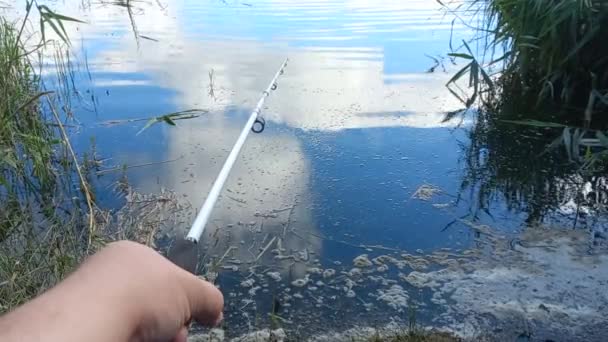 Wędkowanie Rybak Wędką Wędkowanie Brzegu Jezioro Wędka Haczyk Wędkarski Krajobraz — Wideo stockowe