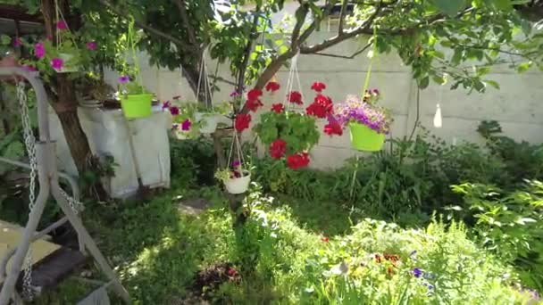 Patio Domek Wsi Ogród Trawnik Kwiaty Patio Relaks Letni Ogród — Wideo stockowe