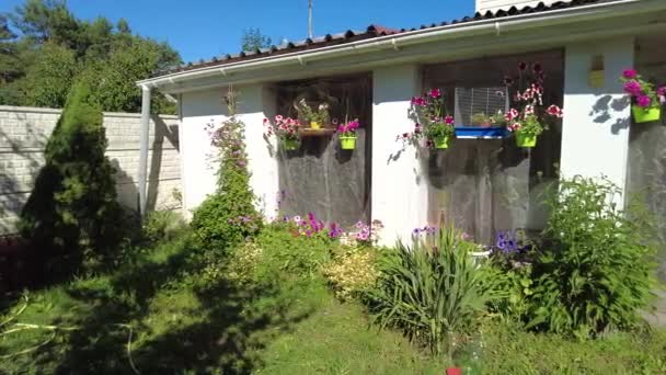 Avlu Köy Evi Bahçesi Çimler Çiçekler Rahatlamak Için Avlu Yaz — Stok video