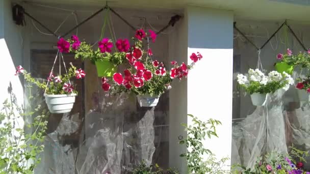 乡间别墅房子花园 草坪和花 放松的天井 夏季花园 — 图库视频影像