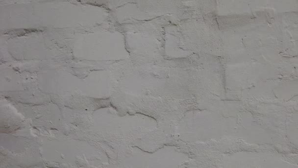 Texture Murale Brique Blanche Mur Blanc Mur Briques Briques Blanches — Video