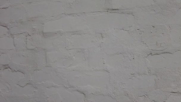 白いレンガの壁の質感 白い壁だ レンガの壁 白いレンガ — ストック動画