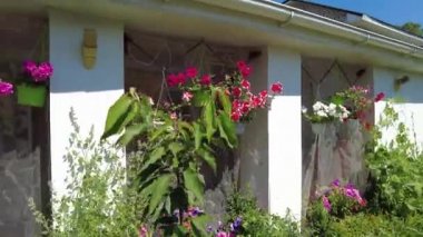 Avlu. Köy evi. Ev bahçesi. Çimler ve çiçekler. Rahatlamak için avlu. Yaz bahçesi. Ukrayna. Ukrayna evi.