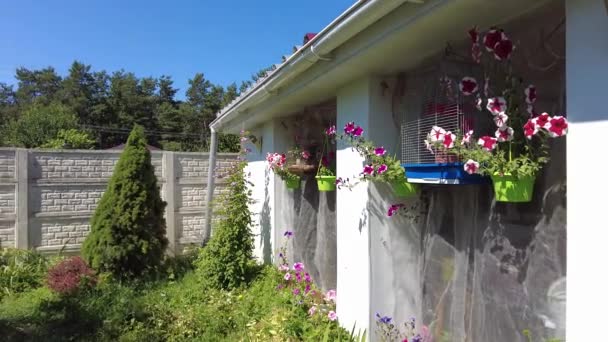 Pátio Casa Campo Jardim Casa Gramado Flores Pátio Para Relaxamento — Vídeo de Stock