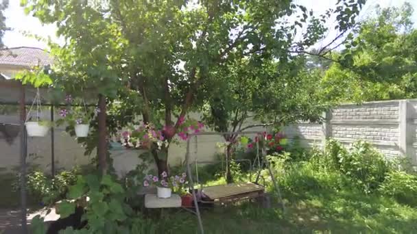 Patio Domek Wsi Ogród Trawnik Kwiaty Patio Relaks Ogród Letni — Wideo stockowe