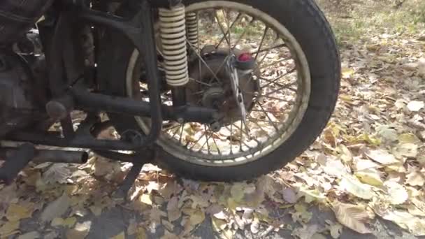 Moto Motociclista Passeios Motociclista Motocicleta Uma Estrada Florestal Equitação Divertindo — Vídeo de Stock