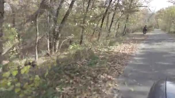 Motorbike Biker Motorcyclist Rides Motorcycle Forest Road Riding Having Fun — Video Stock