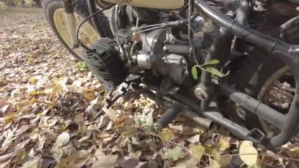 Motorbike Biker Motorcyclist Rides Motorcycle Forest Road Riding Having Fun — Video Stock