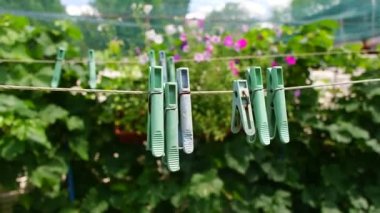 clothespins. Plastic clothespins hang in a row on the rope. Rope outdoors, on a blurred background in a sunny garden. clothesline on the street. Clothespins. old pegs on a rope.