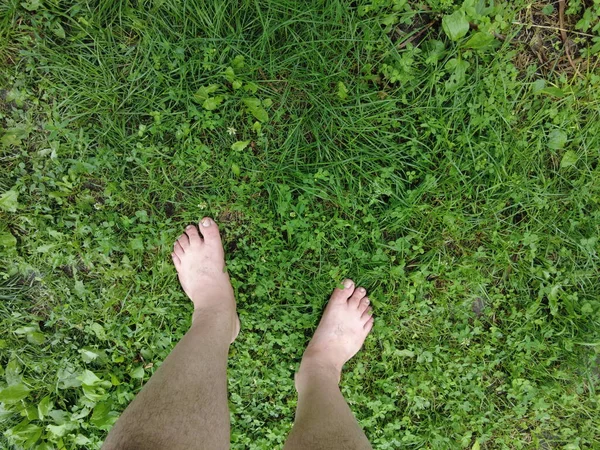 feet on the grass. barefoot on the lawn. green grass and bare feet. you walk on the grass. walking on the lawn. walk barefoot.